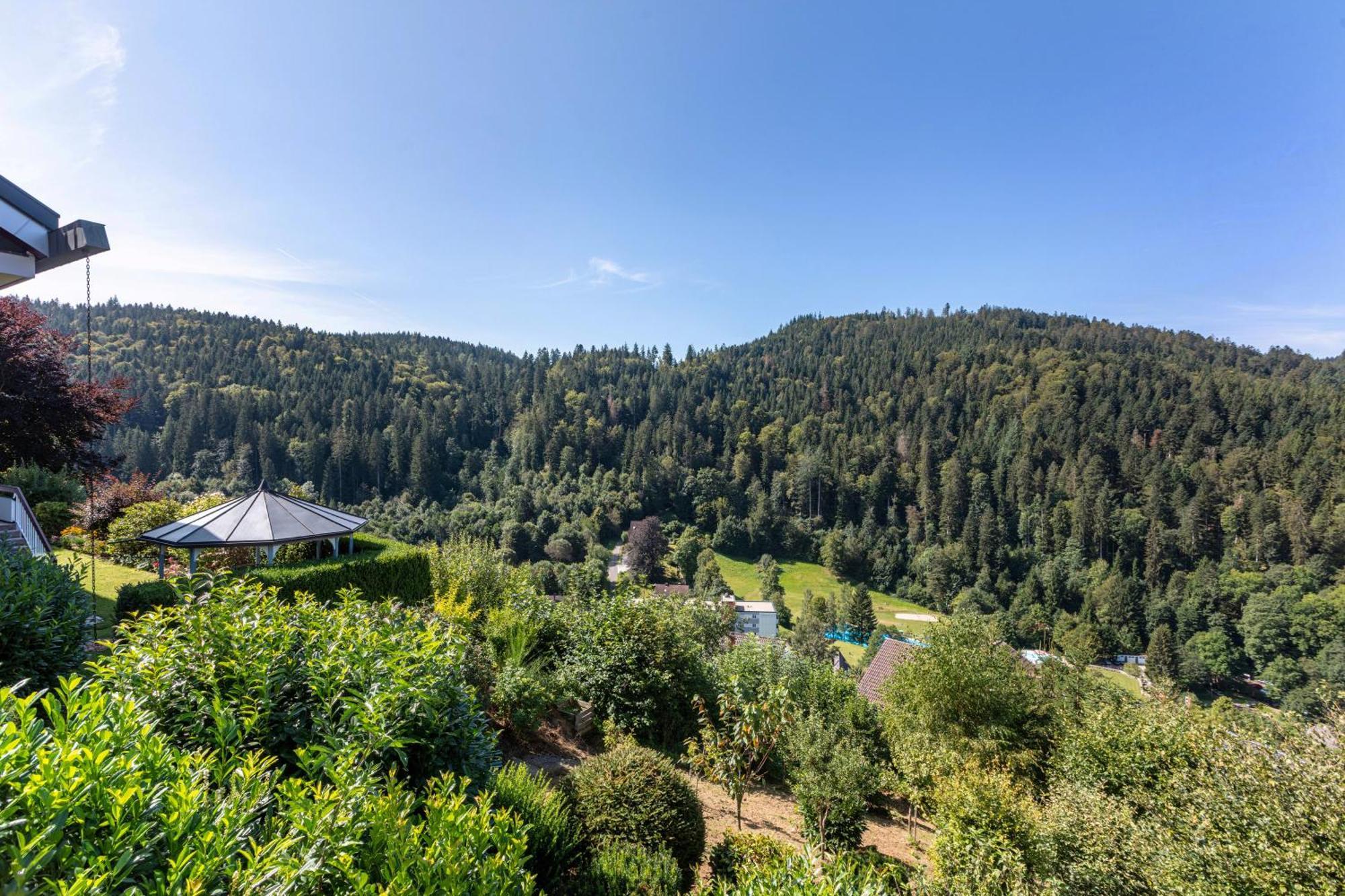 Triberg Blick Apartment Triberg im Schwarzwald Exterior photo